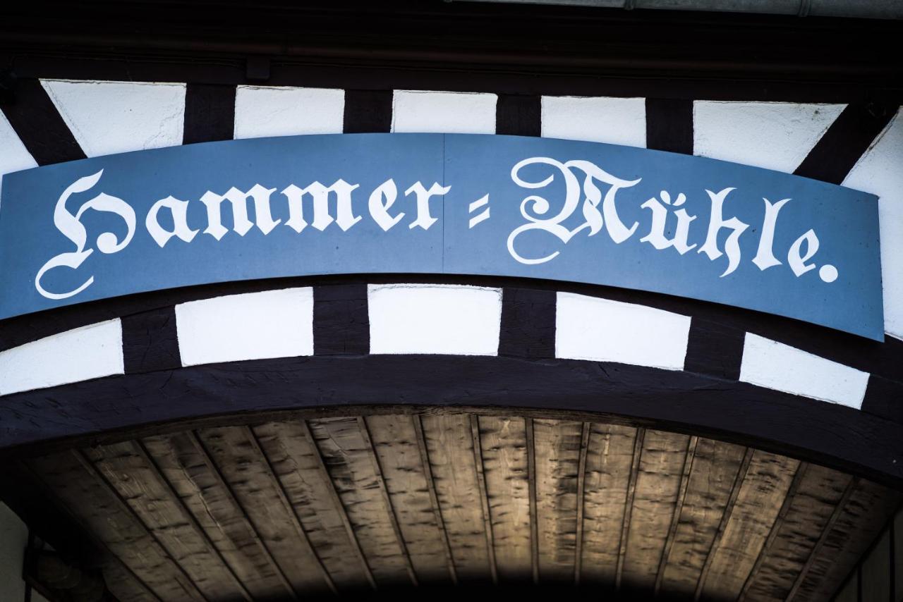 Hessischer Hof Ober-Ramstadt 外观 照片